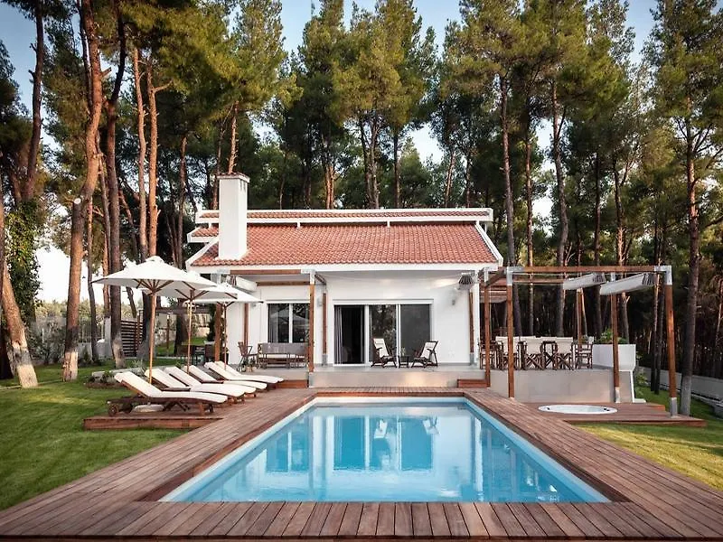 The White Villa At Sani Сани-Бич